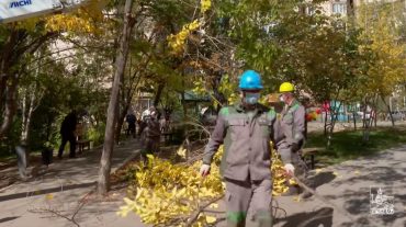 Երևանում սանիտարական էտը շարունակվում է