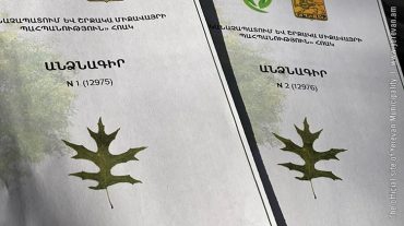 Անձնագրեր՝ Երևանի ամենատարեց ծառերին
