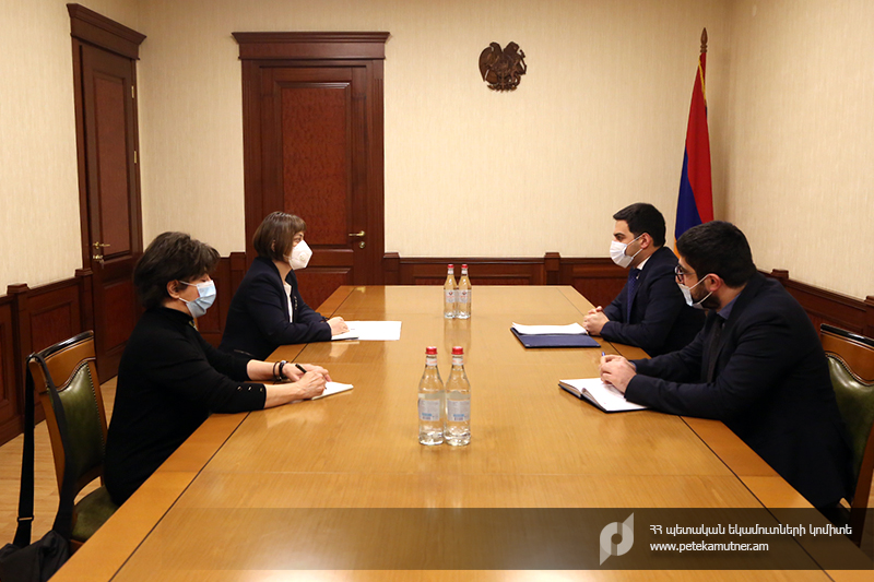 ՊԵԿ նախագահն ընդունել է ՄԱԿ-ի Զարգացման ծրագրի մշտական ներկայացուցչին