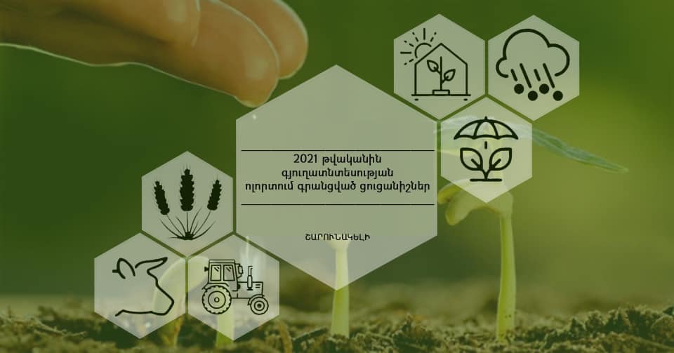 Արմավիրի մարզում 155,23 հեկտար խաղողի և պտղի տարածությունները պատվել են հակակարկտային ցանցերով