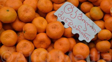 Աջարիայից ամենաշատ ցիտրուսը՝ Ռուսաստան, իսկ խուրման՝ Ուկրաինա է արտահանվել