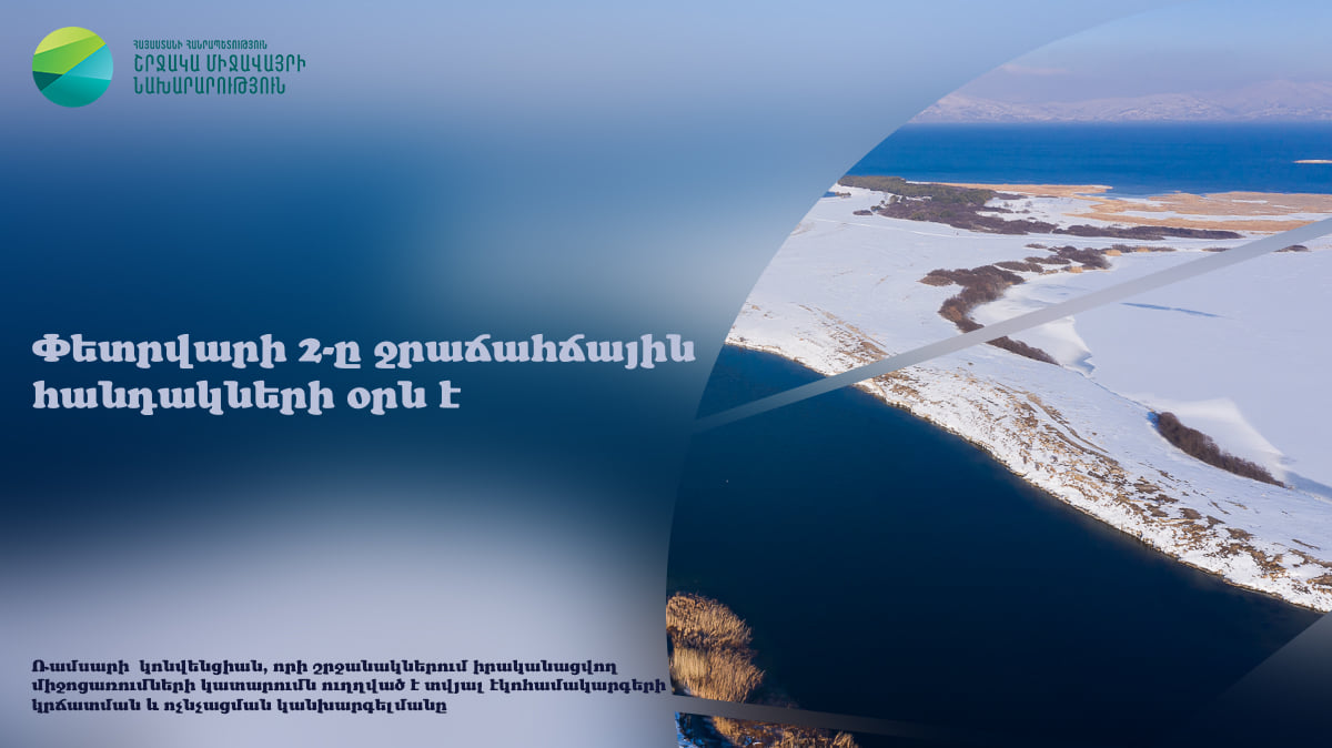 Փետրվարի 2-ը Ջրաճահճային հանդակների օրն է