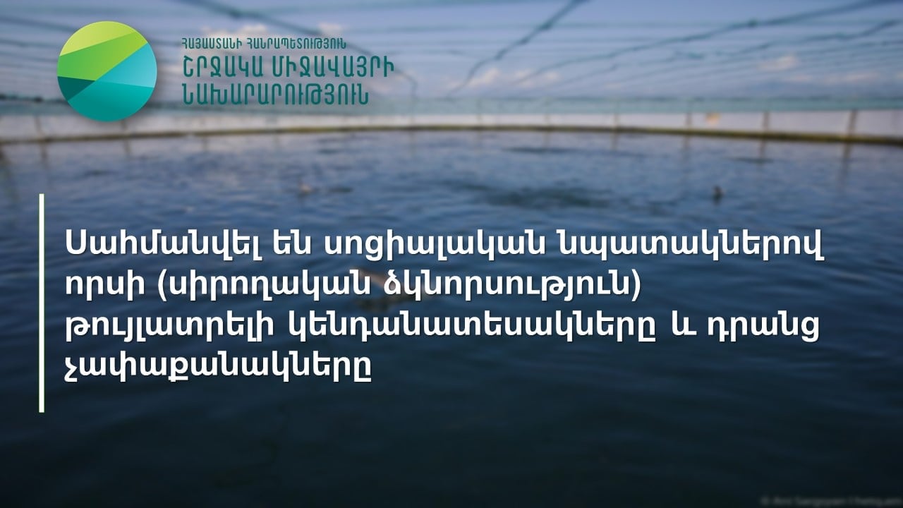 Սահմանվել են սոցիալական նպատակներով որսի թույլատրելի կենդանատեսակներն ու դրանց չափաքանակները