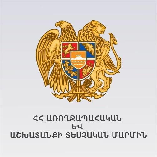 Մարտի 3-ից ստուգայց իրականացնող պաշտոնատար անձն իրավասու է տեղում կիրառել պատասխանատվության միջոց