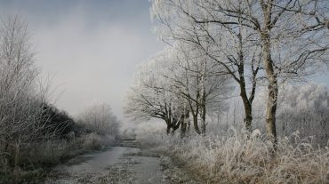 Վարդենյաց լեռնանցքը կցորդիչով բեռնատարների համար փակ է, բեռնատարների համար` դժվարանցանելի