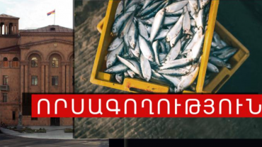 Իջևանի ոստիկանները որսագողության դեպք են բացահայտել