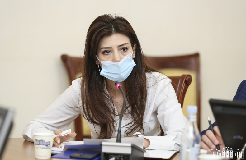 Օրենսդրական նախաձեռնությամբ կկարգավորվեն գործնականում առաջացած խնդիրները