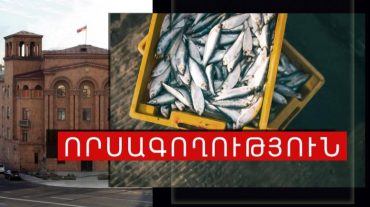 Որսագողության դեպք է բացահայտվել