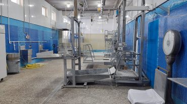 Անասնահամաճարակային մշտադիտարկում է սկսվել երկրի տարածքում գործող բոլոր սպանդանոցներում