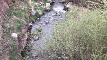 Վարարակ գետի ջրի որակը Գորիս քաղաքից ներքև գնահատվել է «վատ»՝ պայմանավորված ամոնիում իոնով