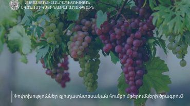 Փոփոխություններ գյուղատնտեսական հումքի մթերումների ծրագրում
