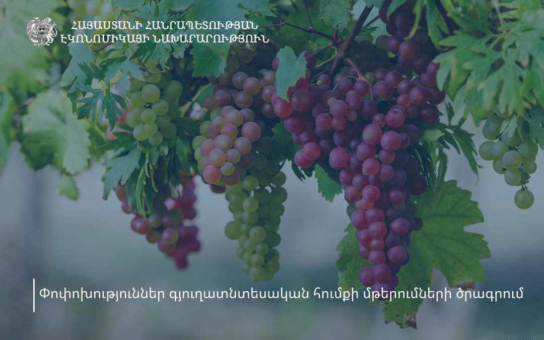 Փոփոխություններ գյուղատնտեսական հումքի մթերումների ծրագրում