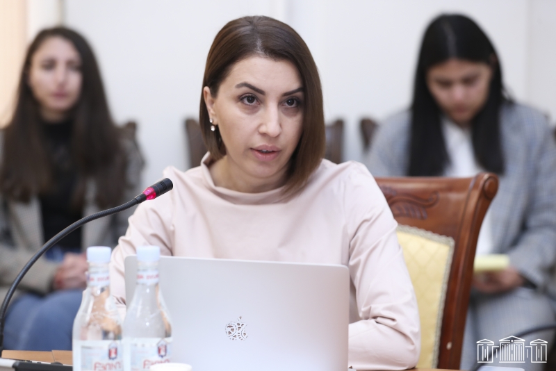ՄԻՊ Քրիստիննե Գրիգորյանը ներկայացրել է նախորդ պաշտպանի գործունեության տարեկան հաղորդումը