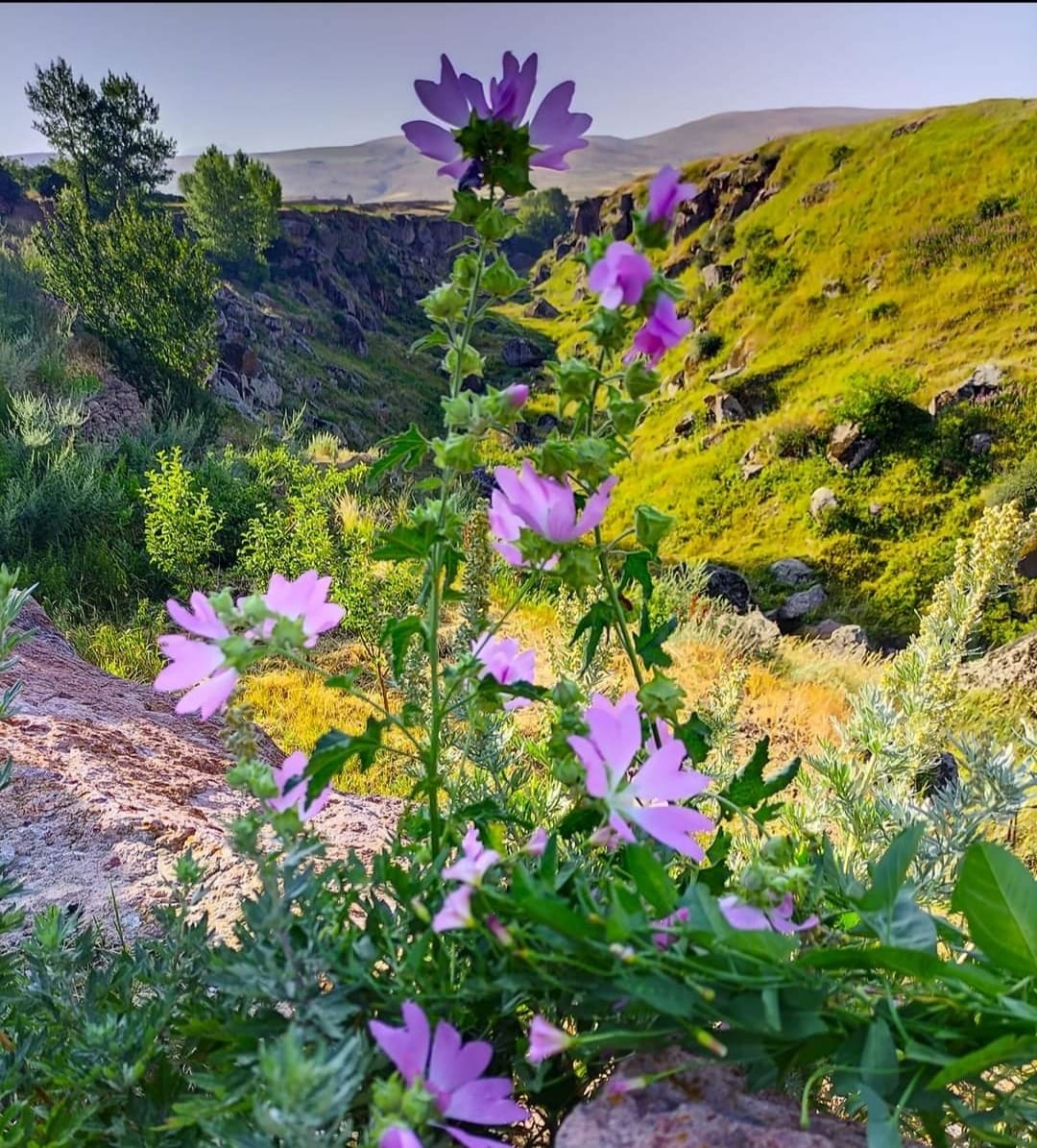 Առաջիկա օրերի եղանակային կանխատեսումները
