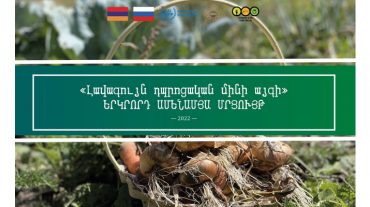 Մեկնարկում է «Լավագույն դպրոցական մինի այգի» մրցույթը