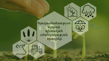 Սևան խոշորացված համայնքում գյուղատնտեսության պետական աջակցության ծրագրերից օգտվելու հայտ է ներկայացրել 27 շահառու