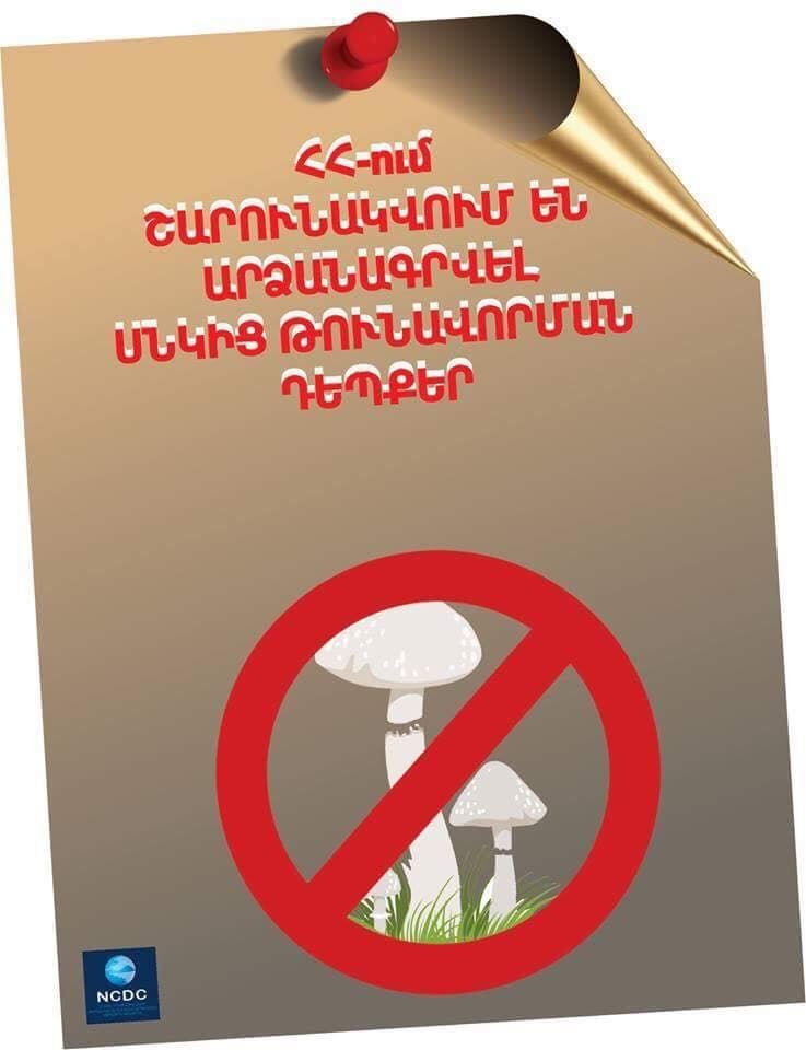 Կոտայքի մարզում արձանագրվել է սնկից թունավորման դեպք