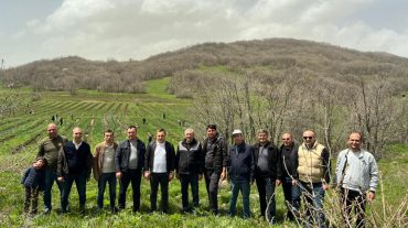 «Ճանապարհային դեպարտամենտ» հիմնադրամի աշխատակիցները մասնակցել են համապետական ծառատունկին