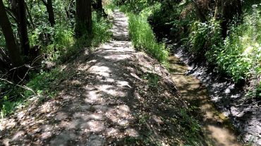 Երևանի պատմական 4 ջրանցքներից մեր օրերում մասամբ պահպանվել են երկուսը՝ Դալմայի և Ումեշինի
