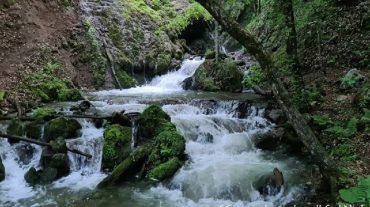 Փրկարարները հայտնաբերել են գետն ընկած քաղաքացու դին (թարմացված)