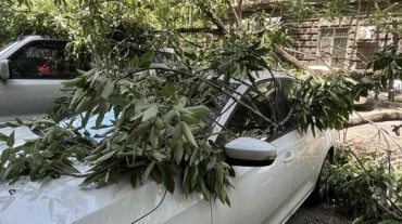 Փրկարարները կոտրված ճյուղը հեռացրել են բակային տարածքից