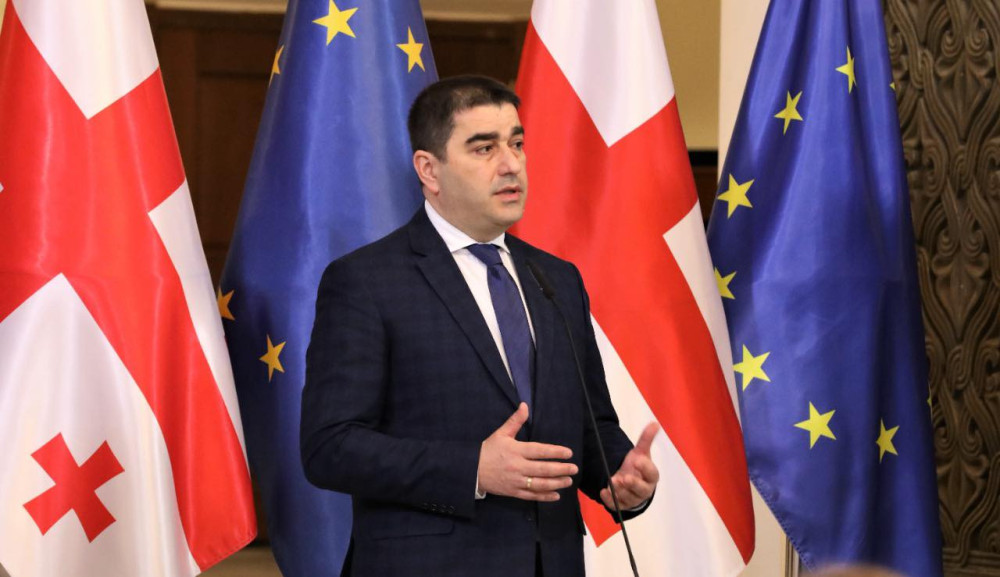 Վրաստանի խորհրդարանի նախագահը դիմել է Եվրախորհրդարանի գործընկերոջը