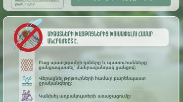 Ինչպես խուսափել միջատների խայթոցներից