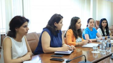 Էկոնոմիկայի փոխնախարարն ընդունել է Զարգացման Ֆրանսիական գործակալության խորհրդատվական ընկերության ներկայացուցիչներին