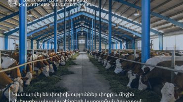 Կատարվել են փոփոխություններ փոքր և միջին «խելացի» անասնաշենքերի կառուցման ծրագրում