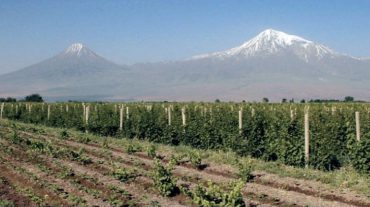 Գյուղատնտեսության ոլորտում իրականացվող աջակցության ծրագրերի շարունակականության ապահովման համար լրացուցիչ գումար կհատկացվի