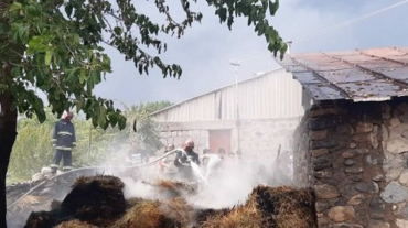 Սևան քաղաքում այրվել է անասնակեր