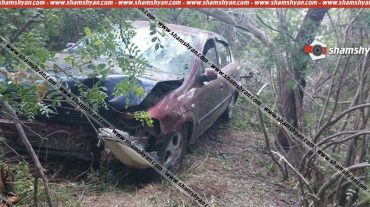 Գեղարքունիքի մարզում Opel-ը մխրճվել է ծառերի մեջ. 8 վիրավորներից 5-ը 3 ամսականից մինչև 2 տարեկան երեխաներ են