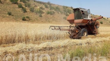 Վրաստանը Ղազախստանից կներմուծի ցորեն և ալյուր