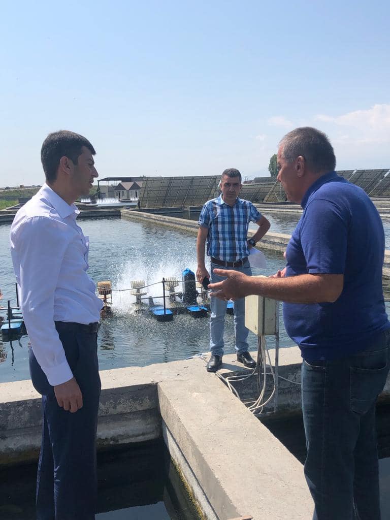 Շրջակա միջավայրի փոխնախարարը ձկնաբուծարաններում ծանոթացել է ՍԻԹԵՍ-ի գրանցամատյանում հաշվառված ձկնատեսակներին, դրանց վիճակին ու պահման պայմաններին