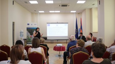 ՇՄ նախարարի տեղակալը մասնակցել է «Սևծովյան ավազանի երկրների համար շրջակա միջավայրի պահպանման միասնական մոնիտորինգի ծրագրի» ավարտական հանդիպում-ասուլիսին