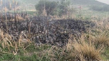 Հրդեհ է բռնկվել Տավուշի Սևքար գյուղում