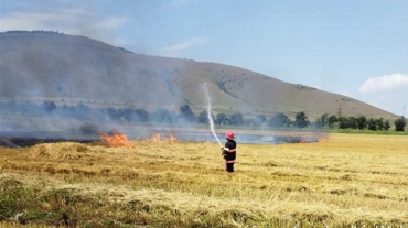 Օձուն-Արևածագ ավտոճանապարհին այրվել է մոտ 18 հա խոտածածկույթ