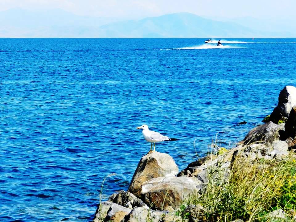 Սևանա լճի մակարդակը օգոստոսի 29-ից սեպտեմբերի 4-ն ընկած ժամանակահատվածում իջել է 3սմ-ով