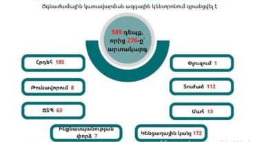 Գրանցվել է 589 դեպք, որից 276-ը՝ արտակարգ․ ԱԻՆ-ն ամփոփում է անցած շաբաթը