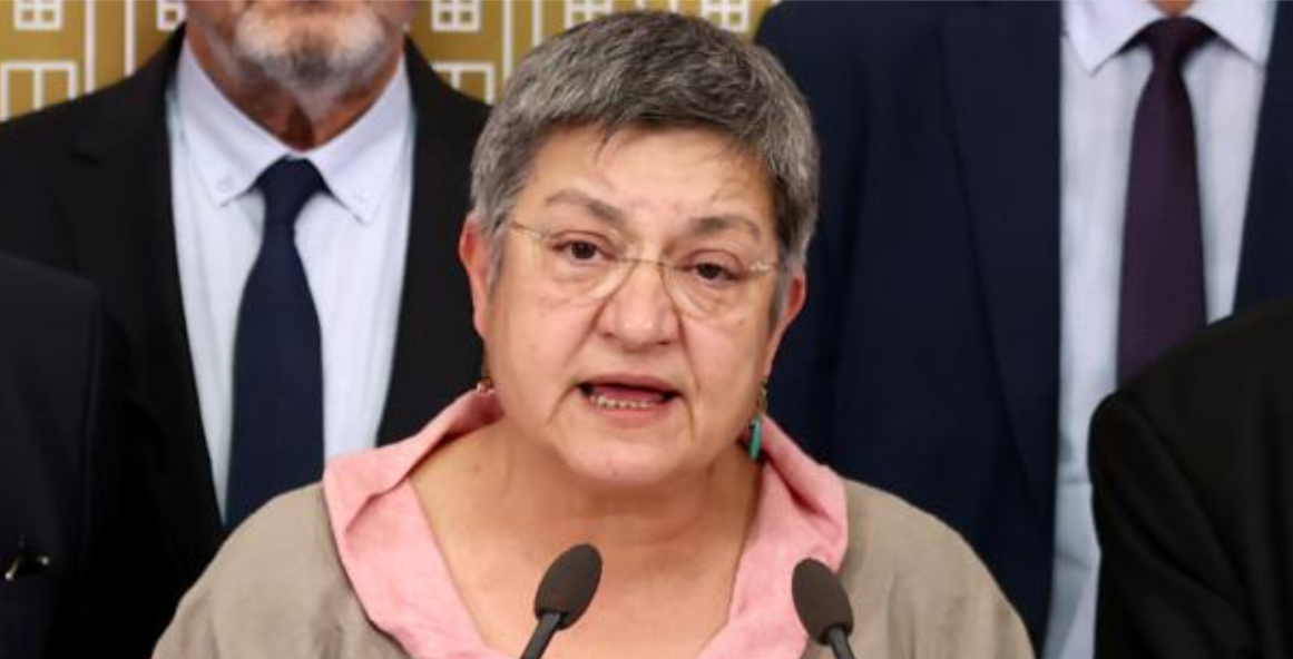Քիմիական զենք օգտագործելու համար Թուրքիային մեղադրող ընդդիմադիր գործիչը ձերբակալվել է