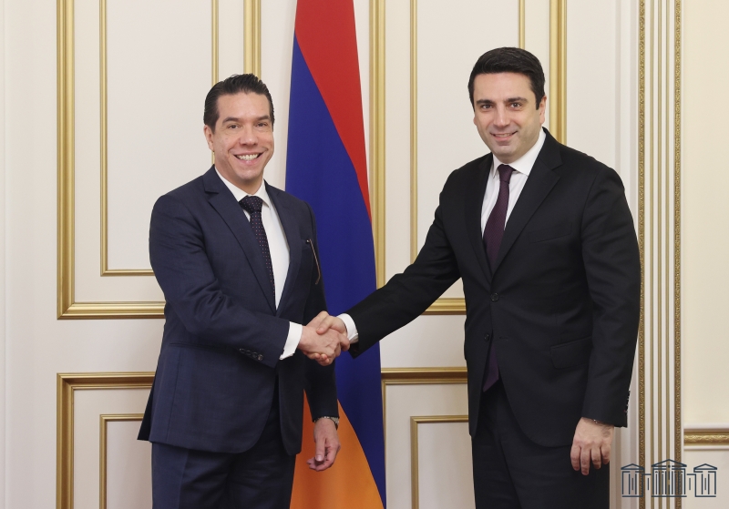 Կոչ եմ անում խստորեն և հասցեական դատապարտել ՀՀ-ի դեմ Ադրբեջանի սանձազերծած ագրեսիան. Սիմոնյանը՝ Բրազիլիայի դեսպանին