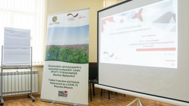 Լոռու մարզում բարելավվել է 20 հա արոտավայր և 10 հա վարելահող