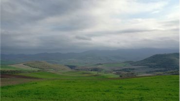 Ադրբեջանական դիրքից կրակ է արձակվել գյուղատնտեսական աշխատանքներ կատարող քաղաքացիական անձանց ուղղությամբ. Արցախի ՆԳՆ ոստիկանություն
