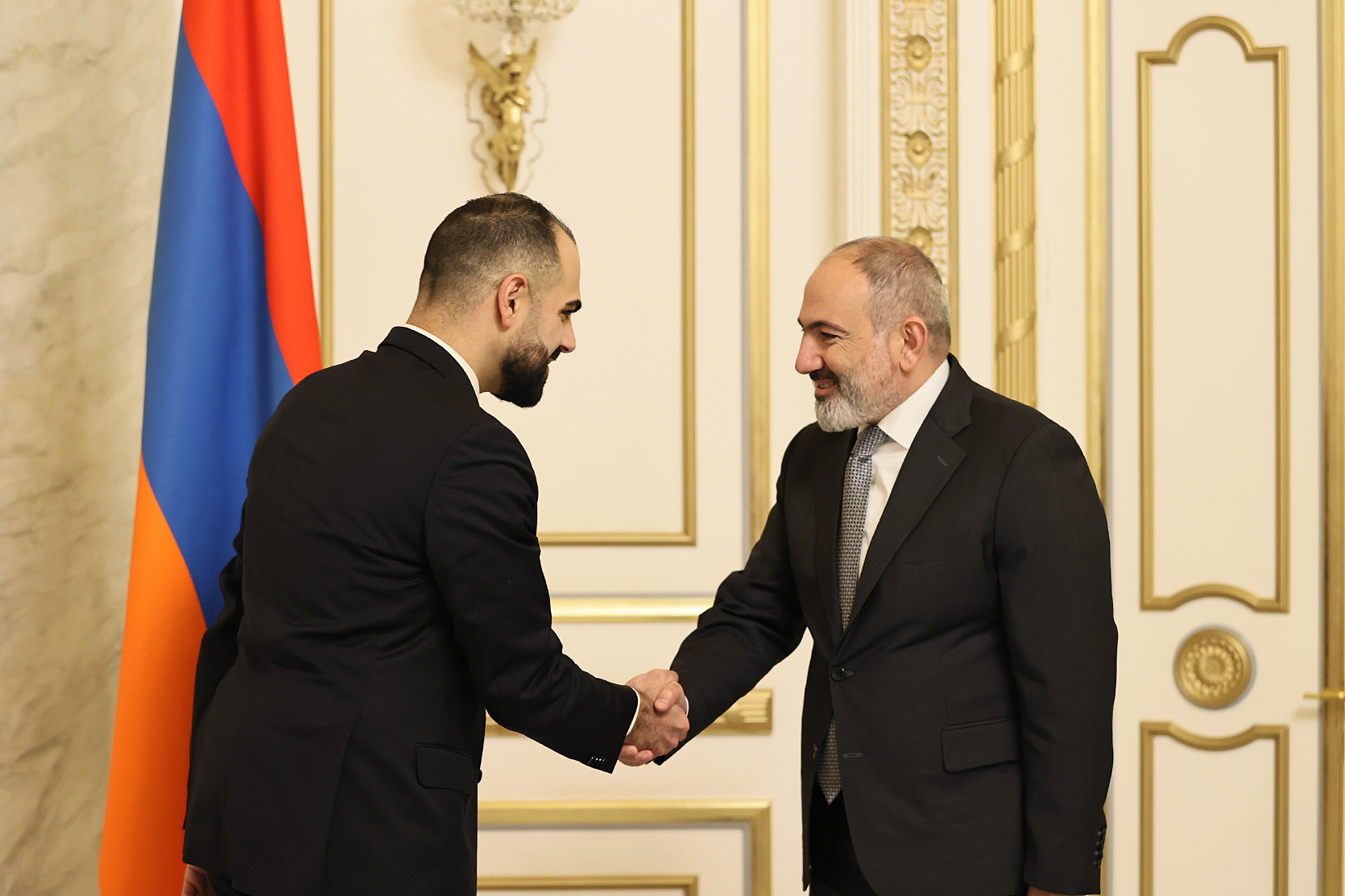 Վարչապետն ընդունել է Շվեդիայի խորհրդարանի պատգամավոր Արին Կարապետին
