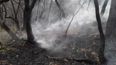 «Դիլիջան ազգային պարկ»-ում բռնկված հրդեհը մեկուսացվել է