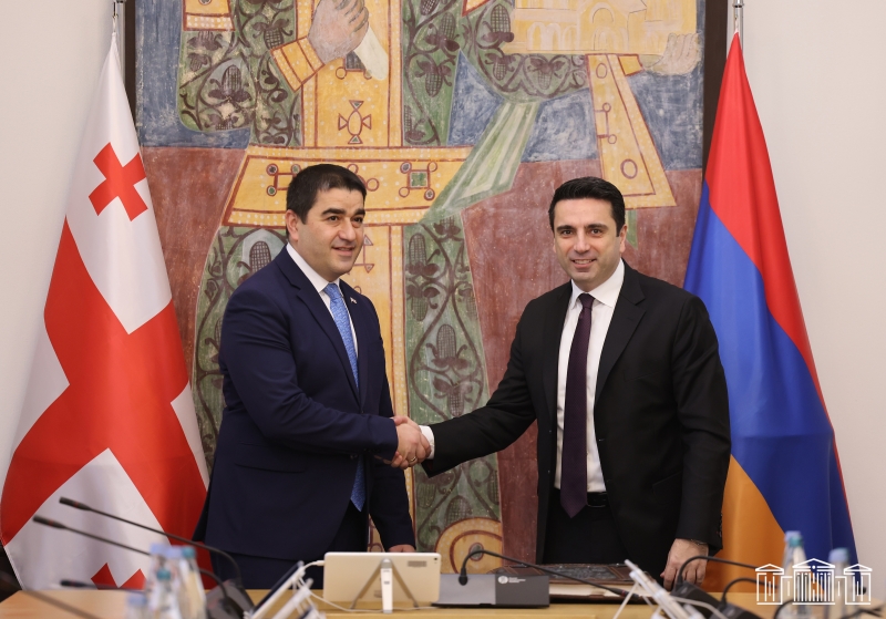 Հետաքրքրված ենք Վրաստանի հետ ռազմավարական գործընկերության հաստատմամբ. Ալեն Սիմոնյանը երկօրյա այցով Վրաստանում է