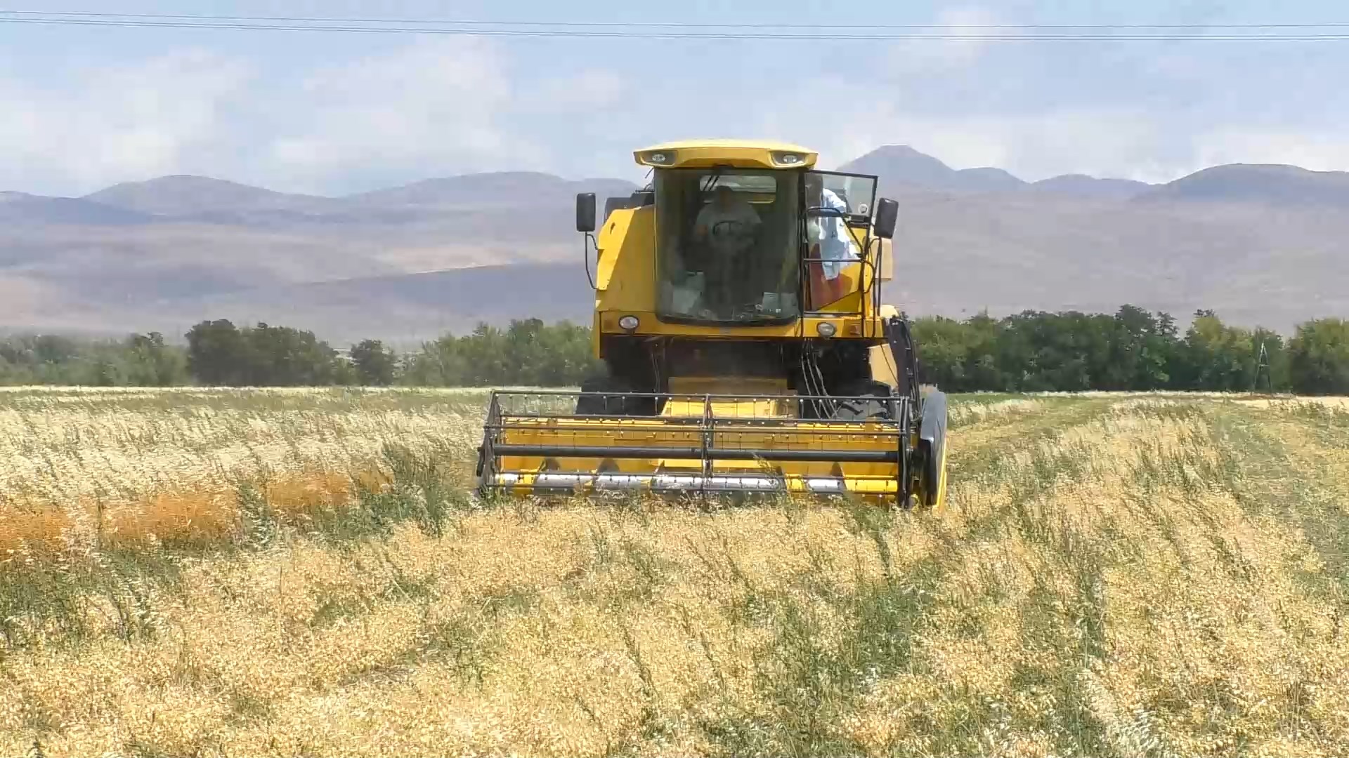  «Գյումրիի սելեկցիոն կայան» ՓԲԸ-ում արձանագրվել է շուրջ 557 մլն. դրամի վնաս․ ՊՎԾ
