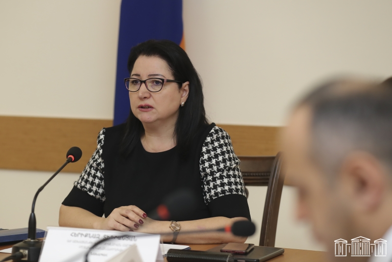 Որդեգրման համակարգի հնարավոր կոռուպցիոն ռիսկերն ու ոչ արժանահավատ որդեգրումները բացահայտելու խնդիր է դրված. Հերիքնազ Տիգրանյան