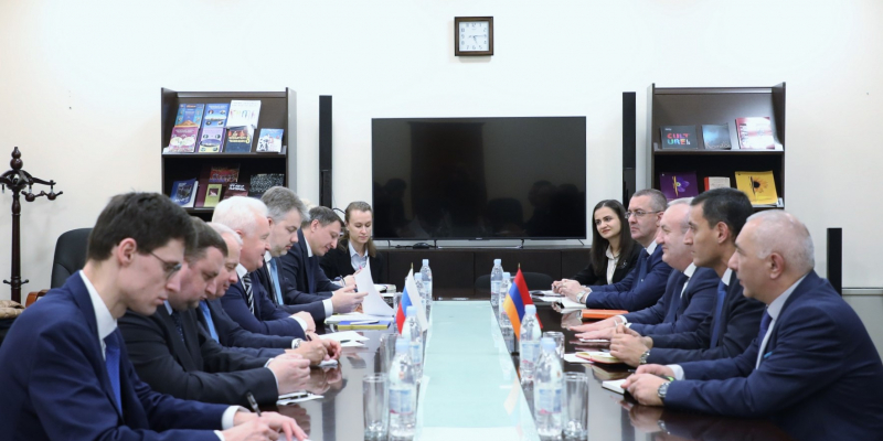 Քննարկվել են կրթության, գիտության և մշակույթի ոլորտներում հայ-ռուսական հարաբերությունների զարգացման հեռանկարները