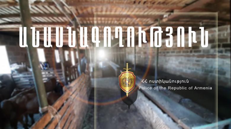 Չստացված անասնագողություն, մարմնական վնասվածքներ և ոչ միայն…